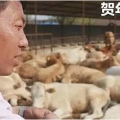 山西省忻州四海牧业
