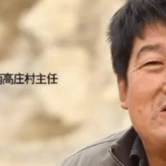 临沂南高庄村树苗村