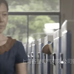 谷登电气有限公司