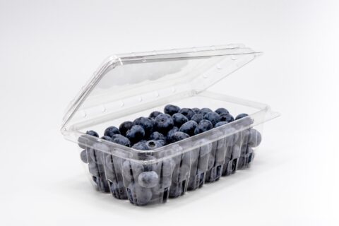 18oz Blueberry Clamshell