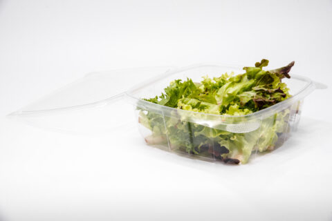 RPS 48 oz. Hinged Deli C···