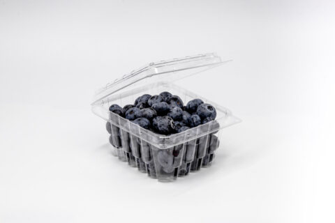Dry Pint Blueberry Clams···