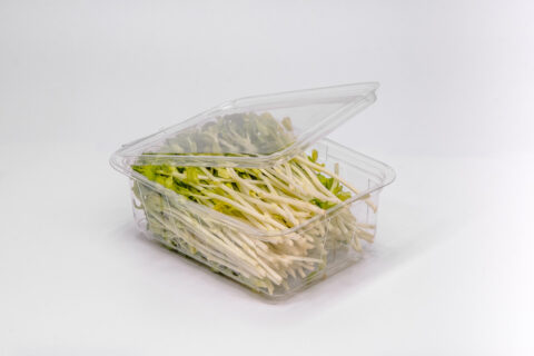 Sprout Clamshell