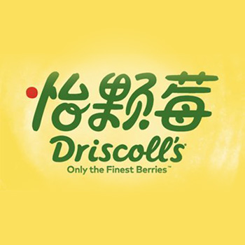 合作客户